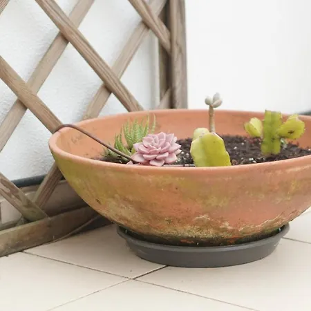 Апартаменты Terraco Dos Rabujas Назаре