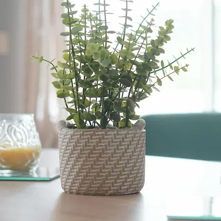 Terraço Dos Rabujas Appartement