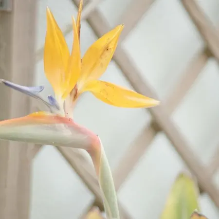 Terraco Dos Rabujas Апартаменты *