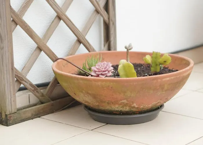 Lejlighed Terraco Dos Rabujas Nazaré