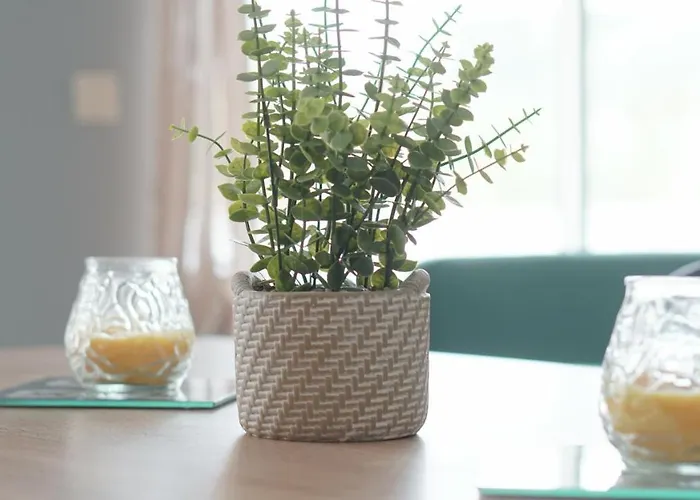 Terraco Dos Rabujas Lejlighed