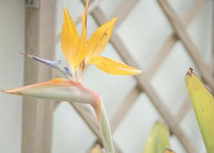 Terraco Dos Rabujas Lejlighed *